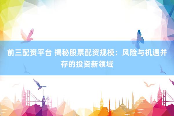 前三配资平台 揭秘股票配资规模：风险与机遇并存的投资新领域