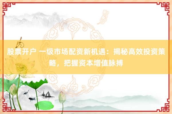 股票开户 一级市场配资新机遇：揭秘高效投资策略，把握资本增值脉搏
