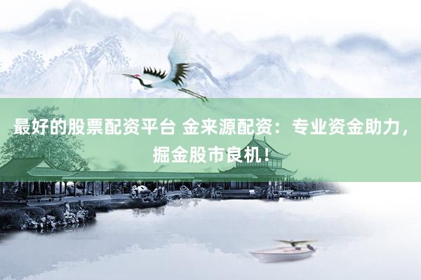 最好的股票配资平台 金来源配资：专业资金助力，掘金股市良机！