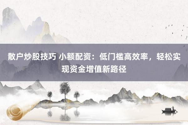 散户炒股技巧 小额配资：低门槛高效率，轻松实现资金增值新路径