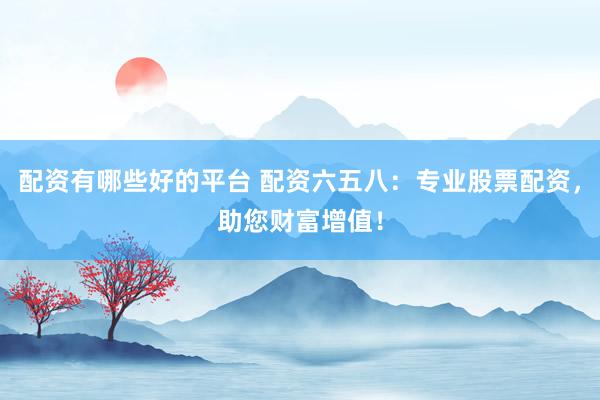 配资有哪些好的平台 配资六五八：专业股票配资，助您财富增值！