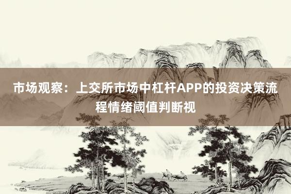 市场观察：上交所市场中杠杆APP的投资决策流程情绪阈值判断视