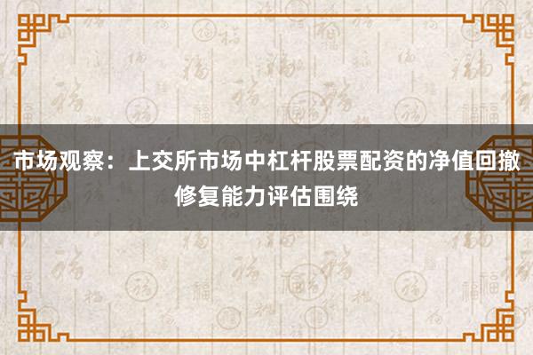 市场观察：上交所市场中杠杆股票配资的净值回撤修复能力评估围绕