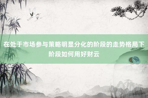 在处于市场参与策略明显分化的阶段的走势格局下阶段如何用好财云