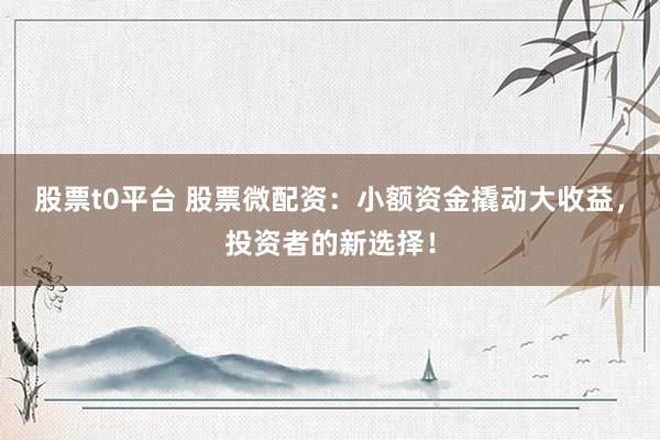 股票t0平台 股票微配资：小额资金撬动大收益，投资者的新选择！