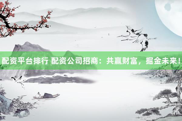 配资平台排行 配资公司招商：共赢财富，掘金未来！