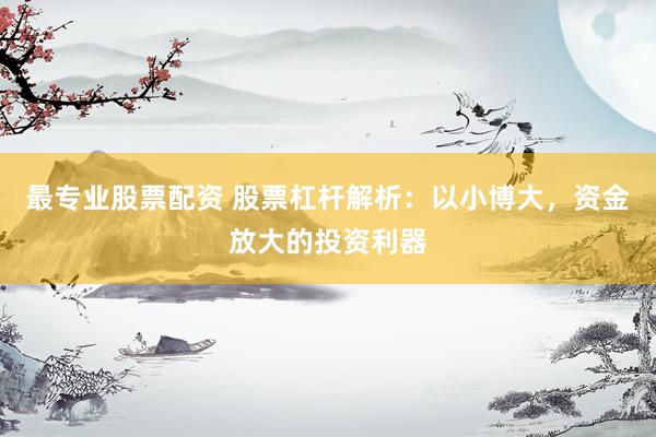 最专业股票配资 股票杠杆解析：以小博大，资金放大的投资利器
