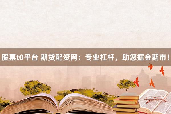 股票t0平台 期货配资网：专业杠杆，助您掘金期市！