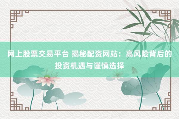 网上股票交易平台 揭秘配资网站：高风险背后的投资机遇与谨慎选择